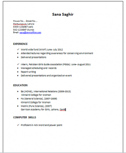 Resume Sample for International Relations